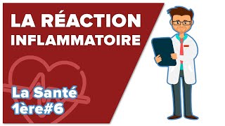 Immunité innée 2  La réaction inflammatoire  SVT  SANTÉ 1ère spé 6  Mathrix [upl. by Atnoved]