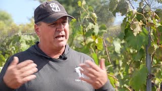 Trevi Hills sommelier explains vineyard coop club process [upl. by Eanram]