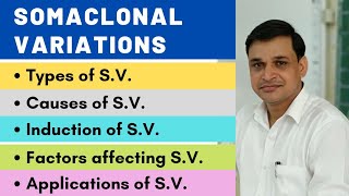 Somaclonal variations  their types causes induction and applications [upl. by Nelia]