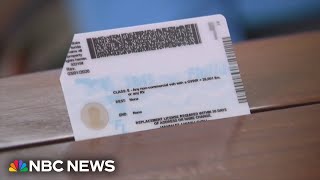 Florida bans transgender people from updating drivers licenses [upl. by Hardie28]