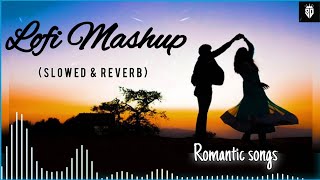 ❣ Lofi Mashup songs  slowed amp reverb❣ Romantic songs  Lofi songsSQPremiummusic 2024 [upl. by Libove892]