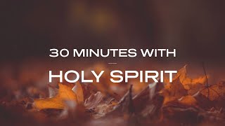 30 Minutes With Holy Spirit Deep Prayer amp Prophetic Worship Music [upl. by Howzell]