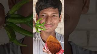 mirchi wala short video 😭😭🥰🥰shortvideo youtube viral funny youtubeshorts yvsultanpur new2024 [upl. by Rotceh]