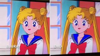 Viz Sailor Moon Bluray vs DVD Comparison [upl. by Temp]