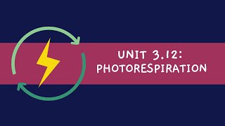 Unit 312 Photorespiration [upl. by Anrak]