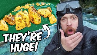 Diver Finds Where The BIG GOLD Nuggets Are [upl. by Bonne937]