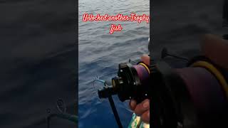 Stay tuned for the Full video fishing jigging fishinglife fishingislife diy [upl. by Otho66]