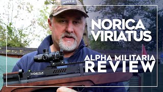 Norica Viriatus Air Rifle Review amp Accuracy Test  quotMidrange wellmade amp accurate bullpupquot [upl. by Nomrej501]