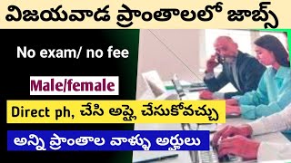 03112024 vijayawada jobs today latest jobs in Telugu [upl. by Nylrahs781]