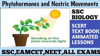 Understanding Phytohormones in Class 10th BiologyExploring Phytohormones Class 10th Biology Lesson [upl. by Pond]