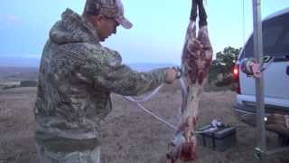 SOLO CALIFORNIA WILD PIG HUNT [upl. by Ebneter721]