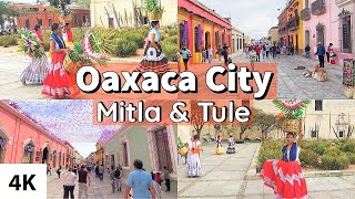 A Tour of OAXACA City  Mitla amp Tule  Mexico Travel 2023 [upl. by Aihtyc]