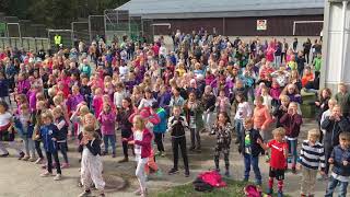 BliMe 2017 Greverud Skole [upl. by Eilrahs]