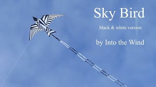 Magnificent Sky Bird kite  black and white [upl. by Hcirdla483]