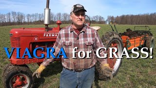 POWERFUL POO  spreading composted manure with the Farmall H amp New Idea 12A [upl. by Rakia691]