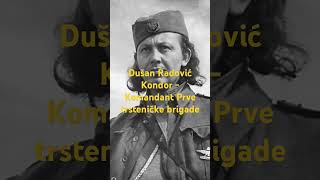 Dušan Radović Kondor  Komandant Prve trsteničke brigade kontrafaktualno [upl. by Files990]