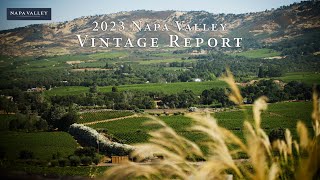 Napa Valley Insider 2023 SOMM TV Vintage report for wine collectors and wine drinkers [upl. by Nysila]