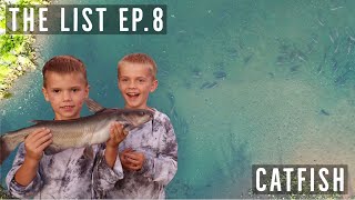 The List S1EP8  Catfish  NPLife [upl. by Miguel802]