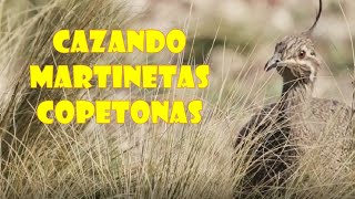 CAZANDO MARTINETAS COPETONAS [upl. by Caty851]