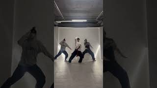 Rodeoremix Bada Lee choreo1st try badaleechoreography dance dancecover choreography [upl. by Rettke]