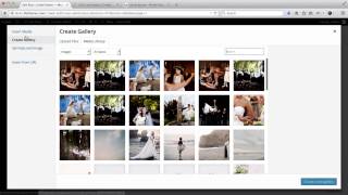 Flothemes  WordPress Gallery [upl. by Stieglitz878]