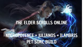 5 NECROPOTENCE  5 JULIANOS  2 ILAMBRIS PET SORC PVE BUILD  ESO WOLFHUNTER [upl. by Bowie174]