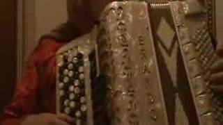 Traditional Swedish accordeon music [upl. by Offen523]