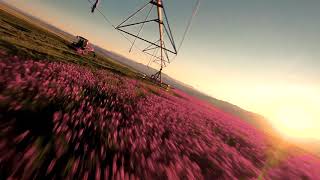 Sainfoin Farming in Montana [upl. by Soalokin193]