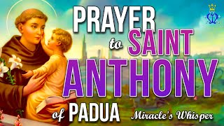 🌿 Miracles Whisper A Prayer to Saint Anthony [upl. by Acina657]