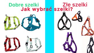 Jak wybrać dobre szelki dla psa [upl. by Inimak]