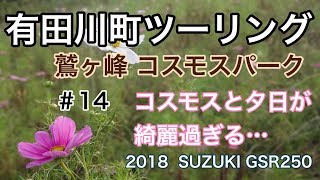 【Motovlog】14 和歌山県有田川町ツーリング 鷲ヶ峰コスモスパークGSR250【モトブログ】 [upl. by Roice]