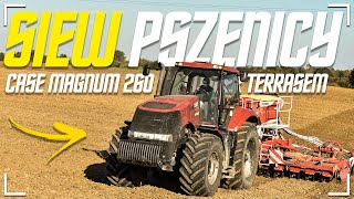 SIEW PSZENICY 2021 ✔ CASE MAGNUM 260 amp POTTINGER TERRASEM C6 ✔ ENGINE SOUND ✔ [upl. by Kleeman]