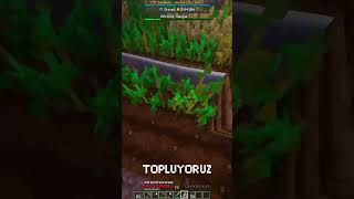 Minecraft Towny Kasabamızı Geliştiriyoruz minecraft minecraftshorts shrots [upl. by Ardnuhsor]