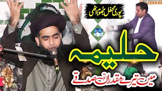 Allama Farooq Ul Hassan  Haleema Main Tere Muqadran Tu Sadqe  Viral Kalam 2024 [upl. by Nnylaj]