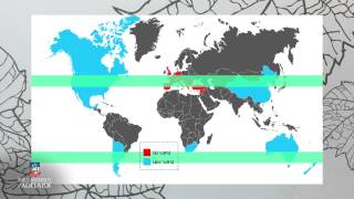 World of Wine Old World vs New World [upl. by Ringler]