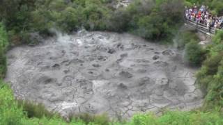 New Zealand Boiling Mud and Geyser  Rotorua New Zealand [upl. by Epoh]