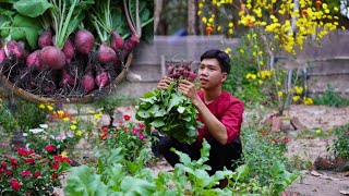 Harvest red beets in front of the simple thatched house and make a delicious meal [upl. by Fasta861]