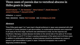 41 Three cases of paresis due to vertebral abscess in Shiba goats in Japan [upl. by Attenwahs]