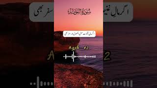 SurahAtTawbah ChapterThe Repentance verse 4142 quranrecitation holyquran quran shorts [upl. by Corin842]