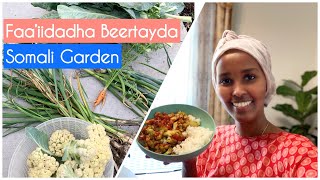 Somali Garden Faaiidadha Beertayda  Lets Cook amp QA [upl. by Enilra]