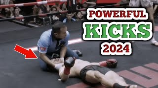 MMAs Powerful Kick Knockouts  MMA 2024 [upl. by Lewiss]