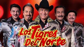 Los Tigres del Norte Mix 2024  Los Tigres del Norte Álbum Completo 2024  Los Tigres del Norte 121 [upl. by Ailimat]