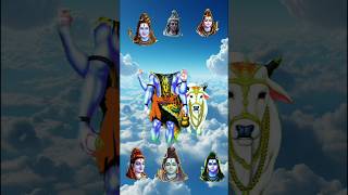 Aage Dekho piche Dekho bam bhole Ki Masti hai 💞🙏🕉️ harharmahadev shorts viralshorttrendingsong [upl. by Acinorrev]