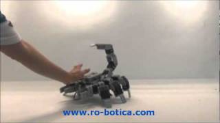 Robot Escorpión con ROBOTIS Bioloid Premium en ROBOTICAcom [upl. by Ebner706]