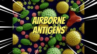 Antigens Cause Allergies [upl. by Anaed]