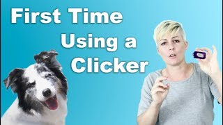 How to start CLICKER TRAINING [upl. by Atterbury839]