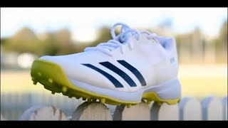 Adidas Adizero 22 YDS Cricket Shoes Steel Spikes [upl. by Sergo]