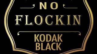 Kodak Black  quotNO FLOCKINquot Official Audio [upl. by Lilas161]