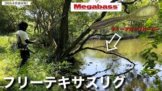 【フリーテキサスリグ】野池のストラクチャーにメガバスのディープカップビーバー！名作パドルテールワームは、未だ現役の生命力！Megabass『バス釣り』 [upl. by Yecak]