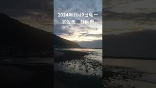 2024年11月9日 宇佐美 静岡県 朝一 [upl. by Alyaj]